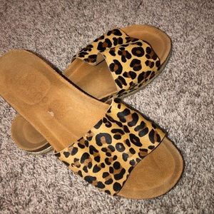Cheetah slides